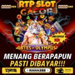 Casino Aman: Tempat Bermain Judi Online Terpercaya